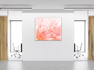 Obraz skleněný čtvercový detail květu růžové gerbery - 40 x 40 cm