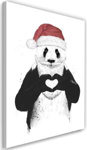 Obraz na plátně Panda v santovském oblečku - Rykker Rozměry: 40 x 60 cm