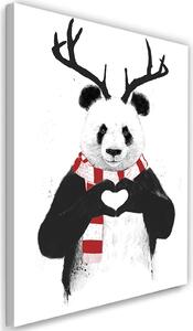 Obraz na plátně Panda s rohy ve vánoční šále - Rykker Rozměry: 40 x 60 cm