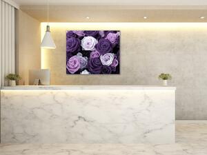 Obraz skleněný čtvercový detail květy fialových růží - 40 x 40 cm