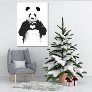 Obraz na plátně Panda se srdcem - Rykker Rozměry: 40 x 60 cm
