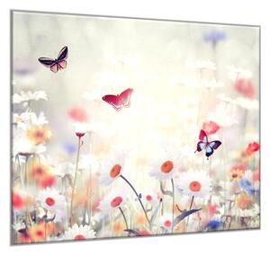 Obraz skleněný čtvercový malované luční kopretiny a motýli - 34 x 34 cm