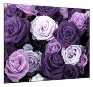 Obraz skleněný čtvercový detail květy fialových růží - 34 x 34 cm