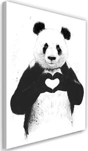 Obraz na plátně Panda se srdcem - Rykker Rozměry: 40 x 60 cm