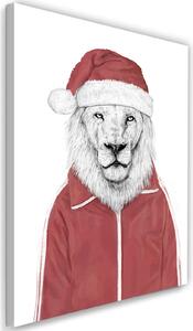Obraz na plátně Lev v červené vánoční čepici - Rykker Rozměry: 40 x 60 cm