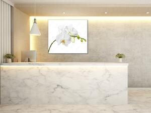 Obraz do koupelny květ bílé orchideje na stonku - 40 x 40 cm