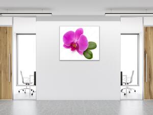 Obraz skleněný čtvercový květ fialové orchideje a list - 50 x 50 cm