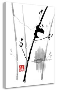 Obraz na plátně Panda na bambusu - Péchane Rozměry: 40 x 60 cm