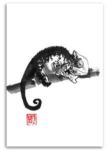 Obraz na plátně Chameleon čb - Péchane Rozměry: 40 x 60 cm