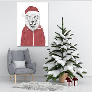 Obraz na plátně Lev v červené vánoční čepici - Rykker Rozměry: 40 x 60 cm