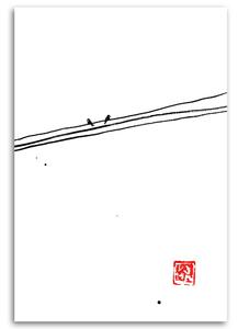 Obraz na plátně Ptáci na drátě - Péchane Rozměry: 40 x 60 cm