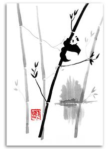Obraz na plátně Panda na bambusu - Péchane Rozměry: 40 x 60 cm