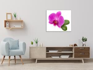 Obraz skleněný čtvercový květ fialové orchideje a list - 40 x 40 cm