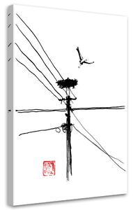 Obraz na plátně Létající čáp - Péchane Rozměry: 40 x 60 cm