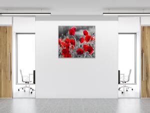 Obraz skleněný čtvercový červené květy vlčího máku na šedém - 40 x 40 cm