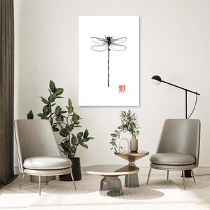 Obraz na plátně Černobílá vážka - Péchane Rozměry: 40 x 60 cm