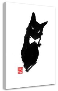 Obraz na plátně Elegantní kočka - Péchane Rozměry: 40 x 60 cm