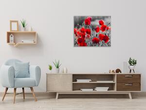 Obraz skleněný čtvercový červené květy vlčího máku na šedém - 55 x 55 cm
