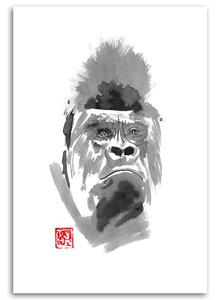 Obraz na plátně Gorila - Péchane Rozměry: 40 x 60 cm