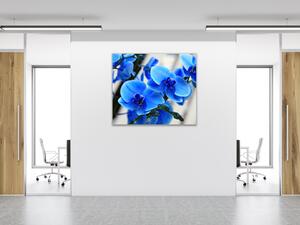 Obraz skleněný čtvercový květy modré orchideje - 50 x 50 cm
