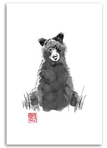 Obraz na plátně Medvěd - Péchane Rozměry: 40 x 60 cm