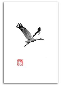 Obraz na plátně Čáp v letu - Péchane Rozměry: 40 x 60 cm