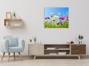 Obraz skleněný čtvercový květy barevná rozkvetlá louka - 40 x 40 cm