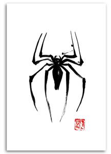 Obraz na plátně Černý pavouk - Péchane Rozměry: 40 x 60 cm