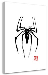 Obraz na plátně Černý pavouk - Péchane Rozměry: 40 x 60 cm