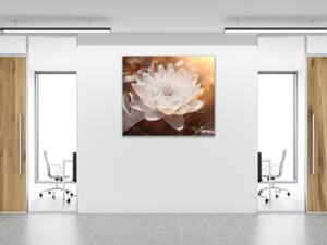Obraz na skle detail bílý květ leknínu - 40 x 40 cm
