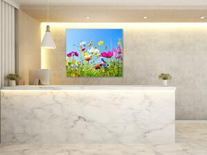 Obraz skleněný čtvercový květy barevná rozkvetlá louka - 40 x 40 cm