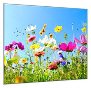 Obraz skleněný čtvercový květy barevná rozkvetlá louka - 55 x 55 cm