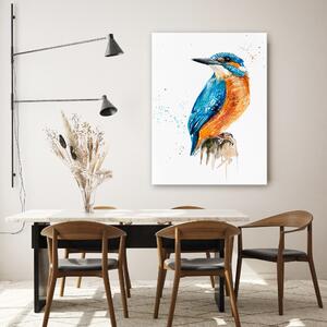 Obraz na plátně Kingfisher - Dorota Martyńska Rozměry: 40 x 60 cm