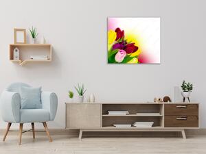 Obraz skleněný čtvercový květy barevné tulipány v melíru - 40 x 40 cm