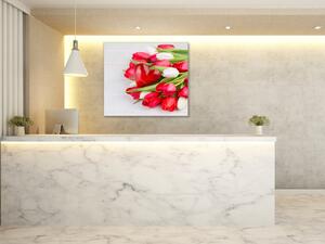Obraz skleněný čtvercový červené, bílé tulipány a srdce - 40 x 40 cm