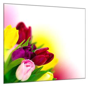 Obraz skleněný čtvercový květy barevné tulipány v melíru - 55 x 55 cm