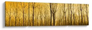 Obraz lesa při západu slunce (170x50 cm)