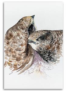 Obraz na plátně Dva vrabci - Dorota Martyńska Rozměry: 40 x 60 cm