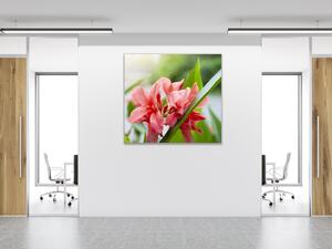 Obraz skleněný čtvercový květy červené kanny - 55 x 55 cm