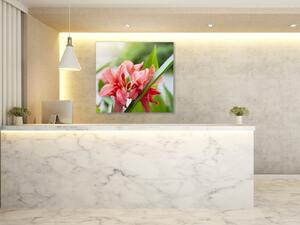 Obraz skleněný čtvercový květy červené kanny - 40 x 40 cm