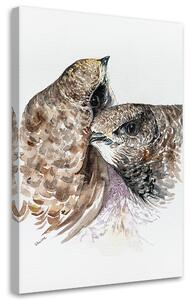 Obraz na plátně Dva vrabci - Dorota Martyńska Rozměry: 40 x 60 cm