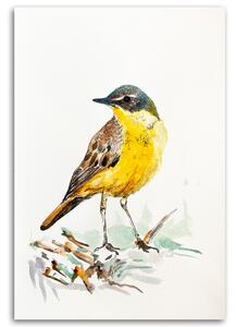 Obraz na plátně Žlutý pták - Dorota Martyńska Rozměry: 40 x 60 cm