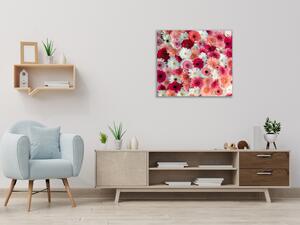 Obraz na skle detail růžové a bílé květy gerbery - 50 x 50 cm