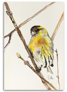 Obraz na plátně Žlutý zvědavý pták - Dorota Martyńska Rozměry: 40 x 60 cm