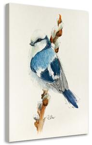 Obraz na plátně Malý modrý pták - Dorota Martyńska Rozměry: 40 x 60 cm