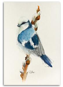 Obraz na plátně Malý modrý pták - Dorota Martyńska Rozměry: 40 x 60 cm
