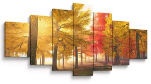 Obraz podzimních stromů (210x100 cm)