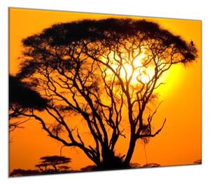 Obraz skleněný západ slunce Afrika Keňa - 40 x 40 cm