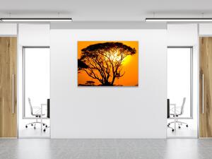 Obraz skleněný západ slunce Afrika Keňa - 40 x 40 cm