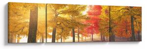 Obraz podzimních stromů (170x50 cm)